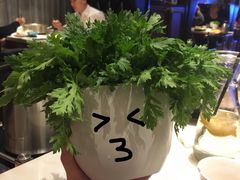 -一哥澳门豆捞·澳门风打边炉(高德置地店)