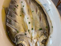 清蒸白鱼-品鲜村农家菜·阳澄湖大闸蟹(总店)