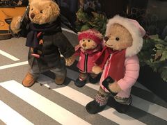 -济州岛泰迪熊博物馆