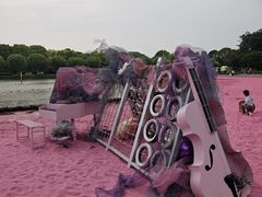 -上海鲜花港