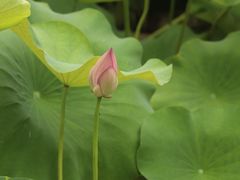 -费孝通江村纪念馆