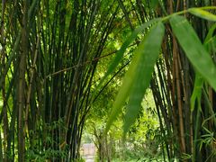 -贵阳市花溪国家城市湿地公园