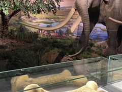 -湖南省地质博物馆