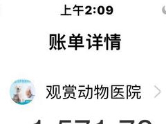 -北京观赏动物医院·24小时大型综合·猫专科·异宠专科