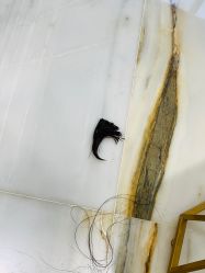 -HAIR POP