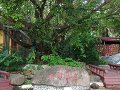 -三亚海棠湾南田温泉神龙谷