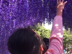 -长洲岛都市农业公园