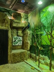 -宝燕乐园(闵行旗舰店)