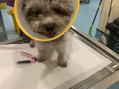 -萌兽医馆·犬猫专科·眼科中心·宠物医院(朝阳门分院)