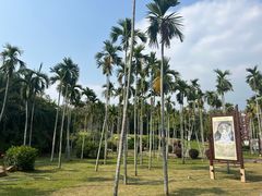 -三亚南山文化旅游区