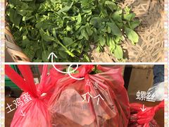 -青浦采草莓天天草莓园