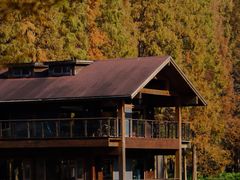 -黄海国家森林公园