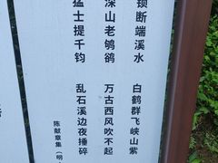 -羚羊峡古栈道森林公园