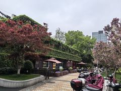 -复旦大学本部-食堂