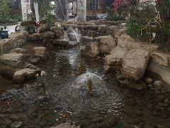-森谷美食公园(杨行店)