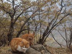 -终南山南五台景区