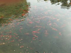 -水磨沟公园
