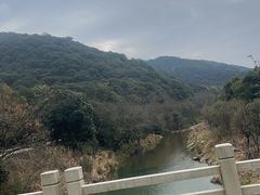 -北仑森林植物园