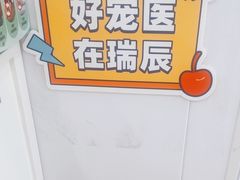 -思琪宠物医院(昆山花桥店)