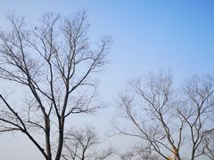 -杭州城北体育公园