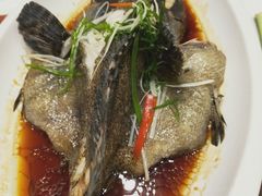 -东方红酒楼(知春路店)