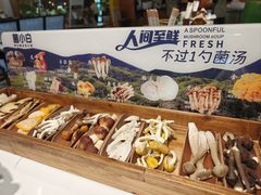 -菌小白火锅(时尚天河店)