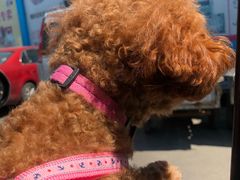 -三旗百汇商品城