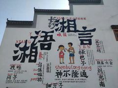 -洋湖国家湿地公园