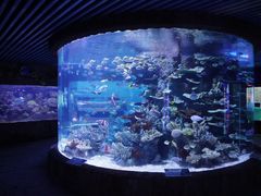 -左海海底世界