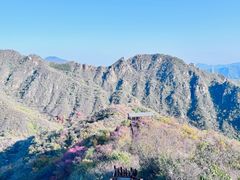 -大岭沟猕猴桃谷风景区