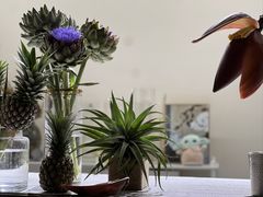 -Butchart布查德鲜花(花艺设计中心)
