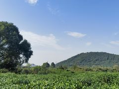 -树山生态村