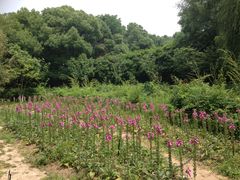 -白马涧龙池景区