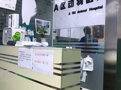 -半岛宠物医院24小时(科华中路店)