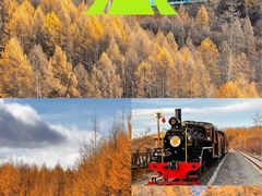 -莫尔道嘎国家森林公园