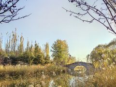 -大兴滨河森林公园