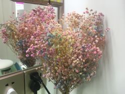 -KS科逆美肤祛痘