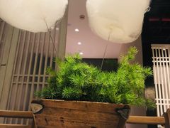 棉花糖-小大董·烤鸭(凤凰汇店)