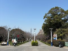 -高东镇樱花园