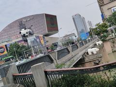 -成都市活水公园