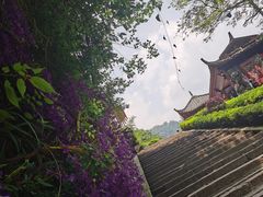 -青城山