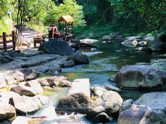 -广州白江湖森林公园