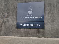 -怀托摩萤火虫洞