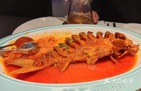 Pan-fried Yellow River Carp