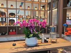 -连鹭海鲜·海肠捞饭·海胆饭(星海店)
