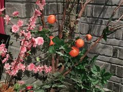 -老牌坊云南鱼豆花火锅(哈西万达店)