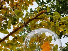 -福州大学(旗山校区)