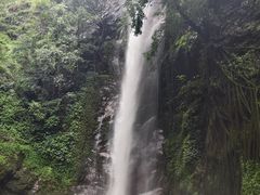 -莫里热带雨林景区