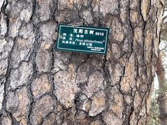 -沈阳市东陵公园
