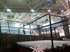 -SNOWGATE滑雪·华雪梦(老西门店)